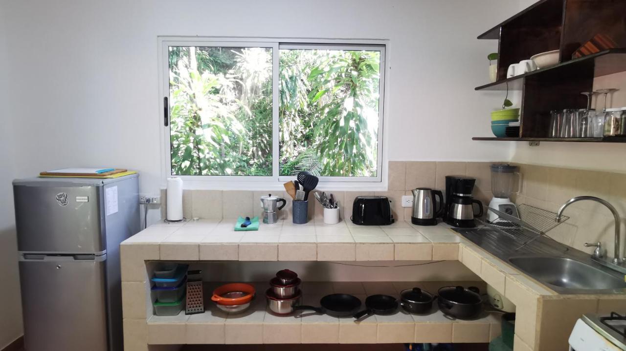 Colibri Apartments - 4 Min Walk To The Beach! Playa Santa Teresa  Exterior foto