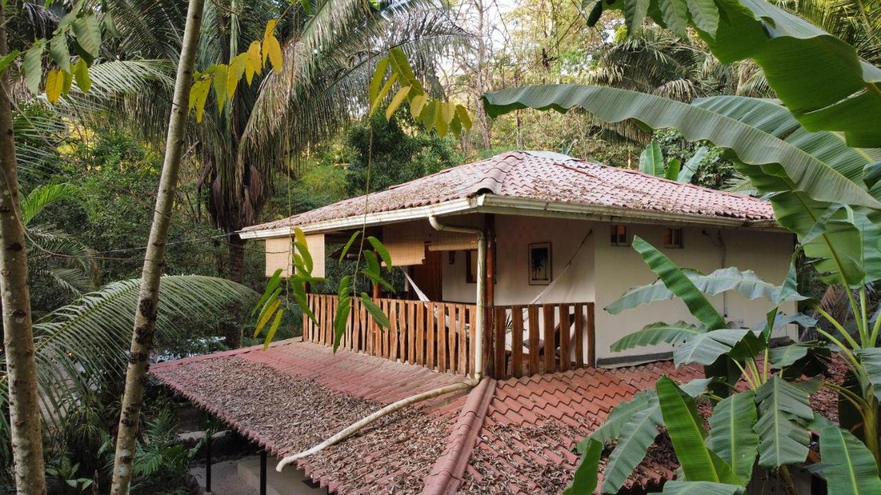 Colibri Apartments - 4 Min Walk To The Beach! Playa Santa Teresa  Exterior foto