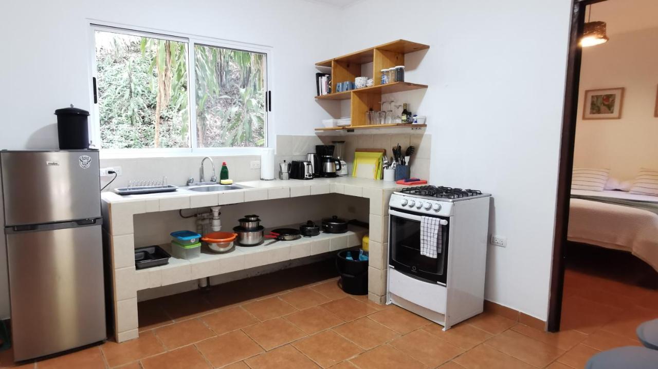 Colibri Apartments - 4 Min Walk To The Beach! Playa Santa Teresa  Exterior foto