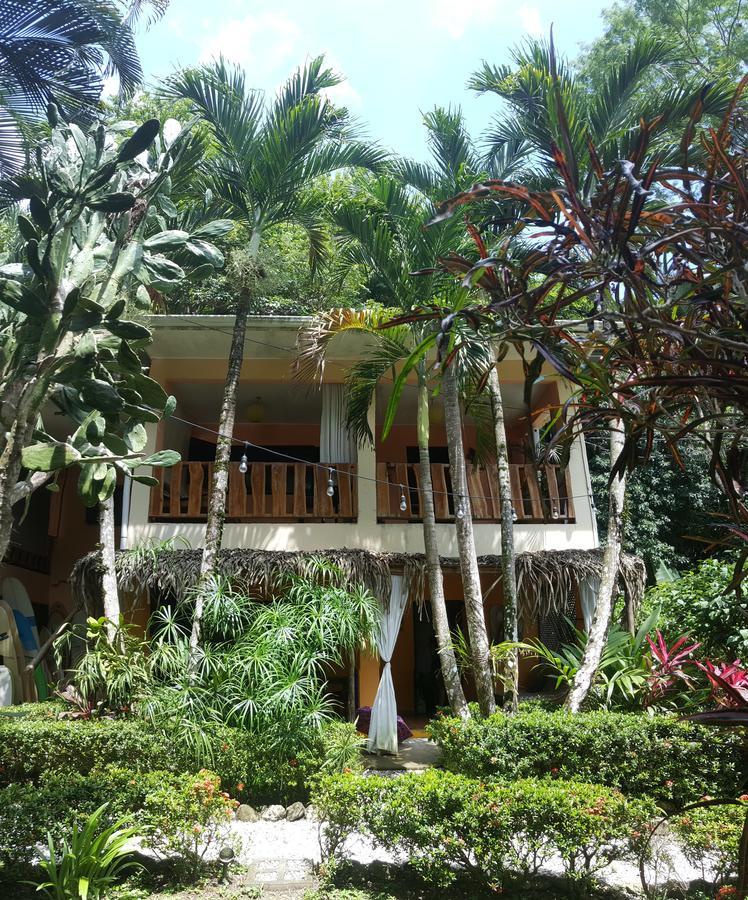 Colibri Apartments - 4 Min Walk To The Beach! Playa Santa Teresa  Exterior foto